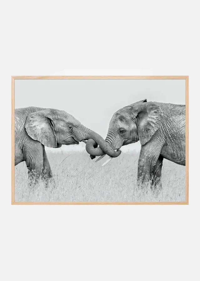 Confrontation Juliste