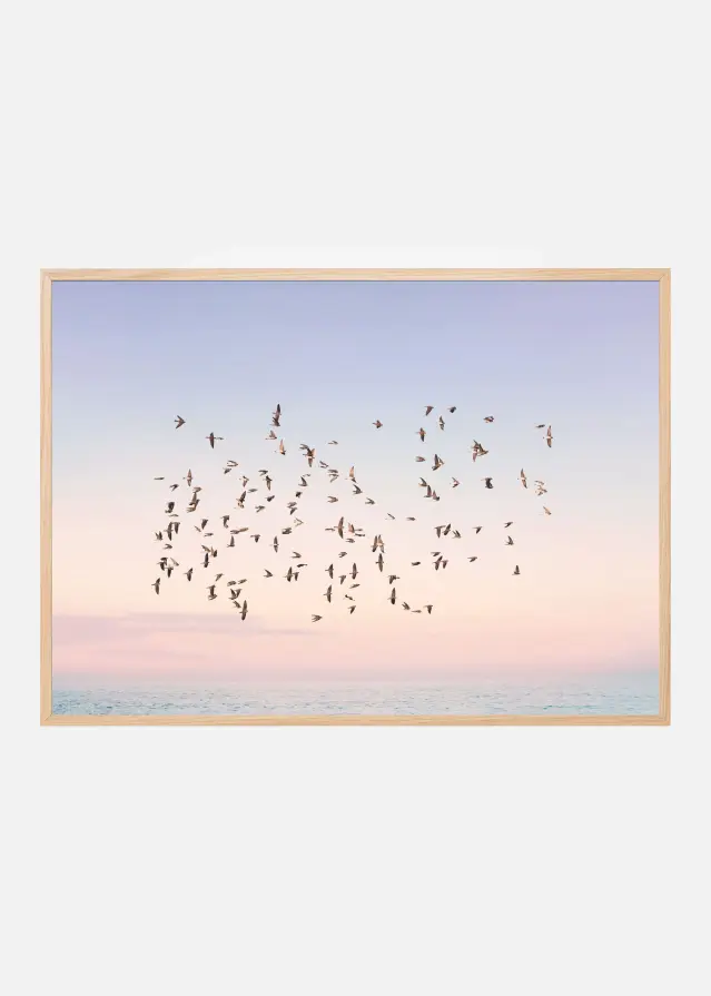 Sunset Flight Juliste