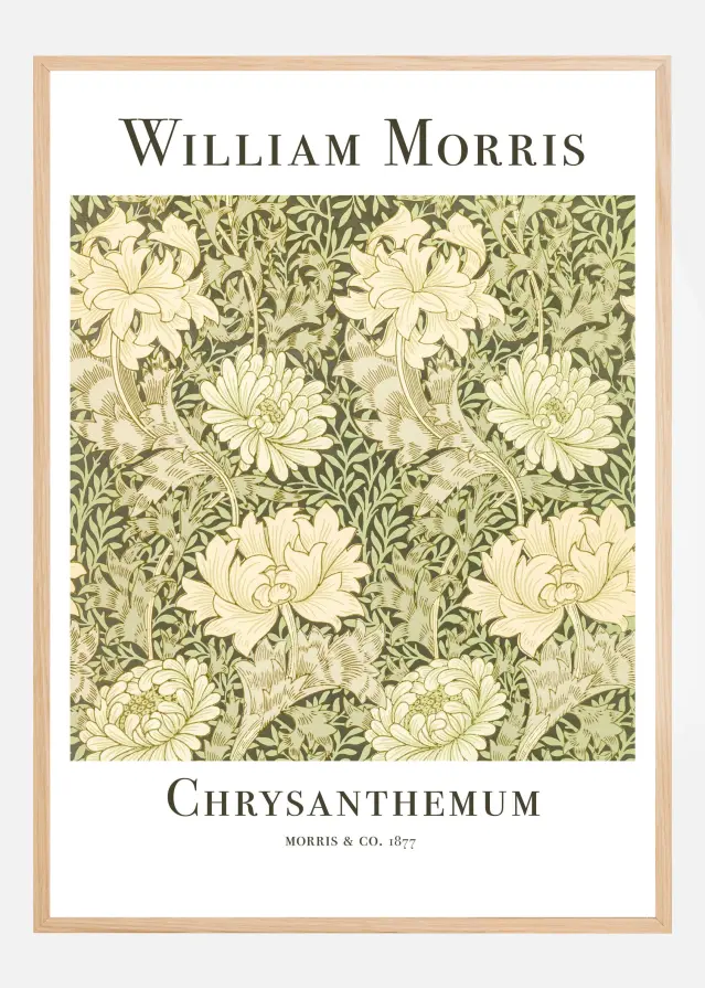 Chrysanthemum Juliste