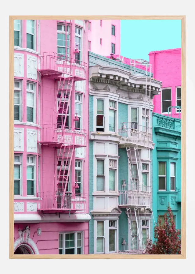 Pink and Blue Row Houses in San Francisco Juliste
