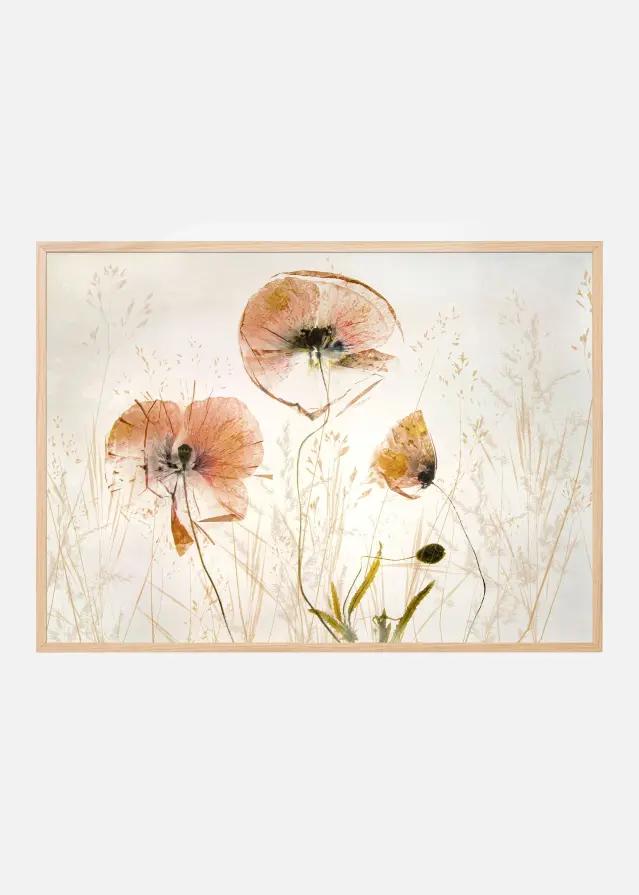 Light and soft Juliste