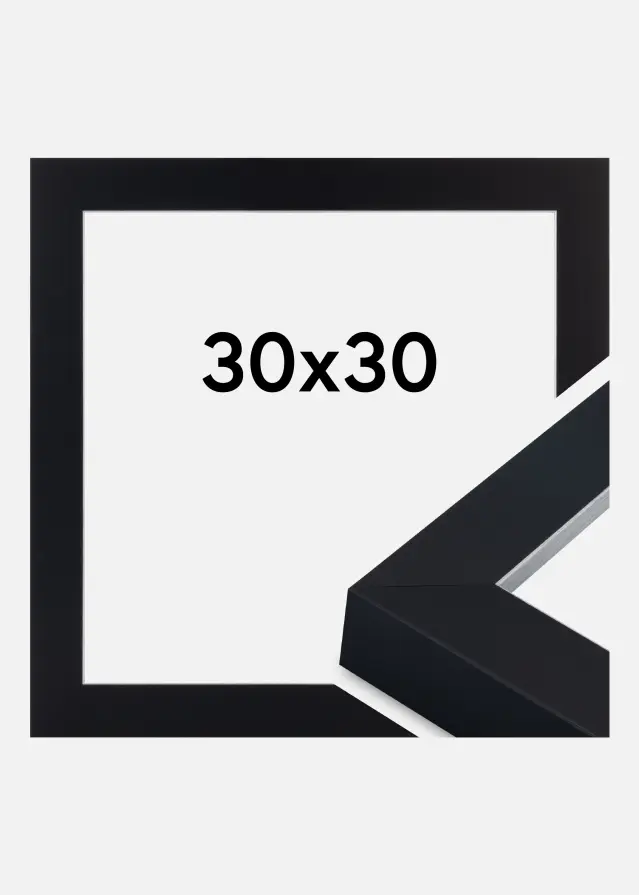Kehys Sussex Akryylilasi Musta/Hopea 30x30 cm