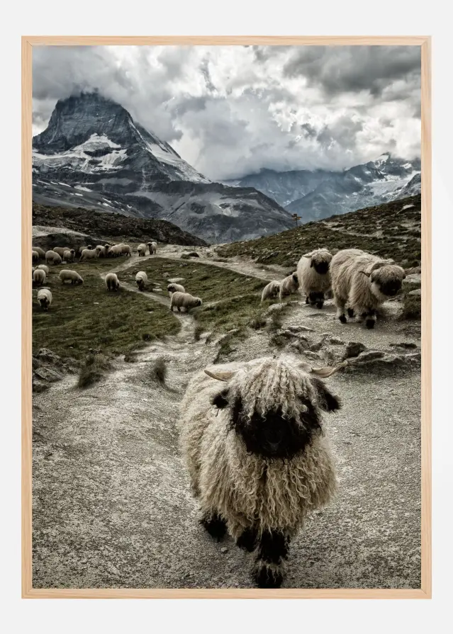 Out of my way Juliste