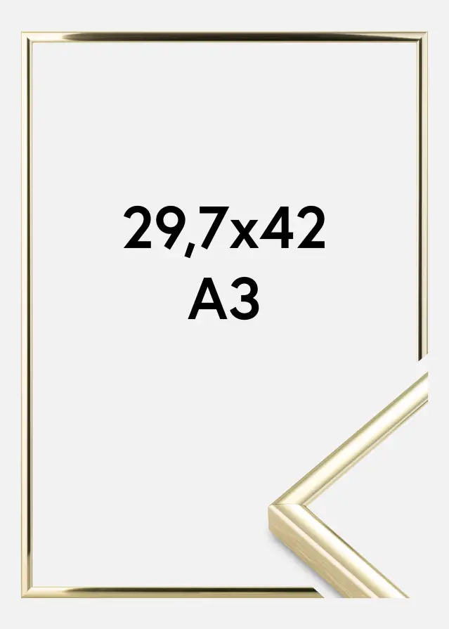 Kehys Nielsen Premium Classic Kullanvärinen 29,7x42 cm (A3)