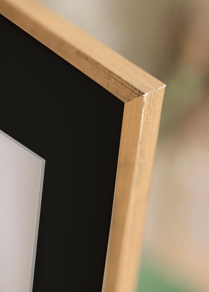 Kehys Galant Kulta 40x50 cm - Paspatuuri Musta 12x16 tuumaa