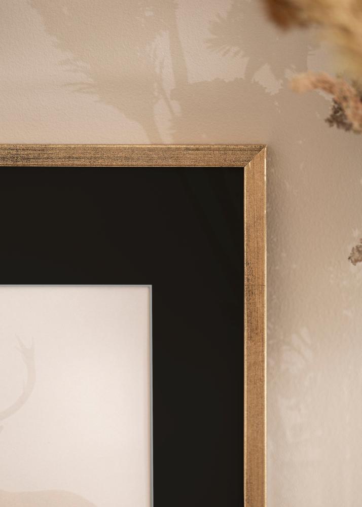 Kehys Galant Kulta 40x50 cm - Paspatuuri Musta 12x16 tuumaa