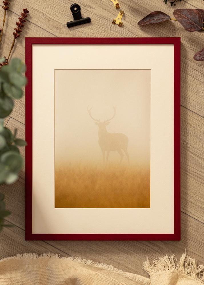 Colorful Akryylilasi Punainen 60x80 cm