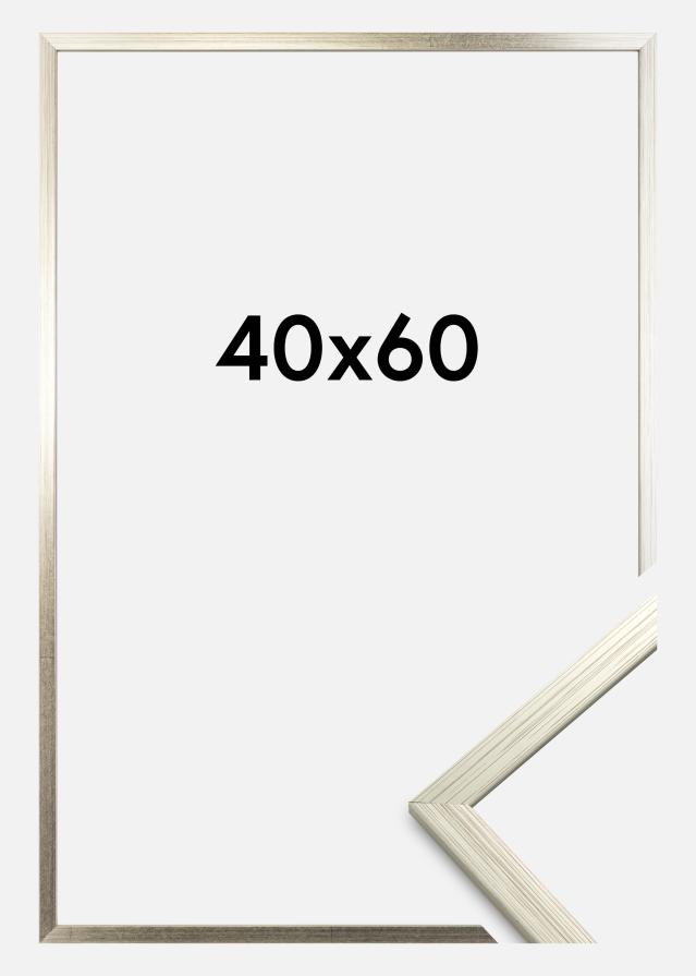 Kehys Edsbyn Akryylilasi Hopeanvärinen 40x60 cm