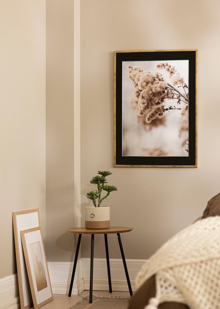 Kehys Galant Kulta 40x50 cm - Paspatuuri Musta 12x16 tuumaa