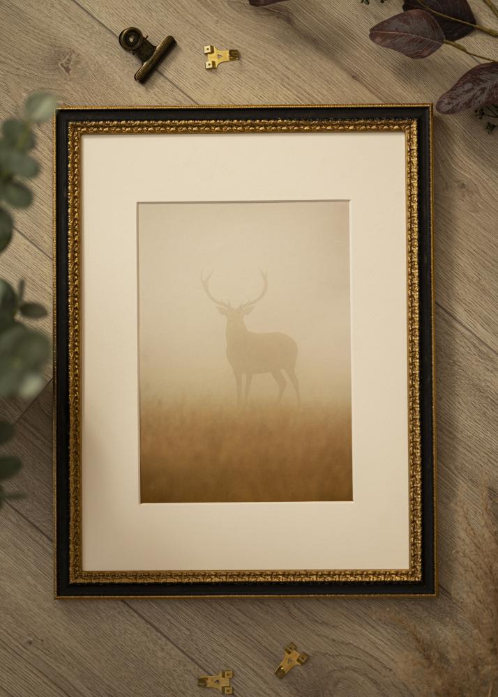 Kehys Drottningholm Kullanvärinen II