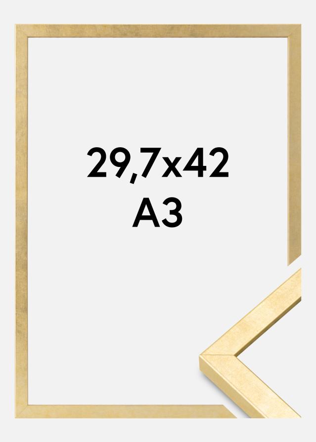 Kehys Ares Akryylilasi Kulta 29,7x42 cm (A3)