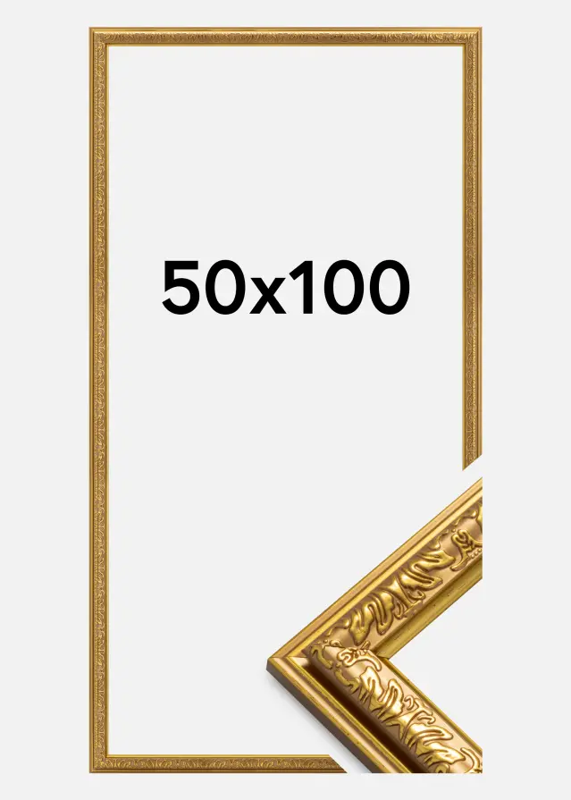 Kehys Nostalgia Akryylilasi Kullanvärinen 50x100 cm