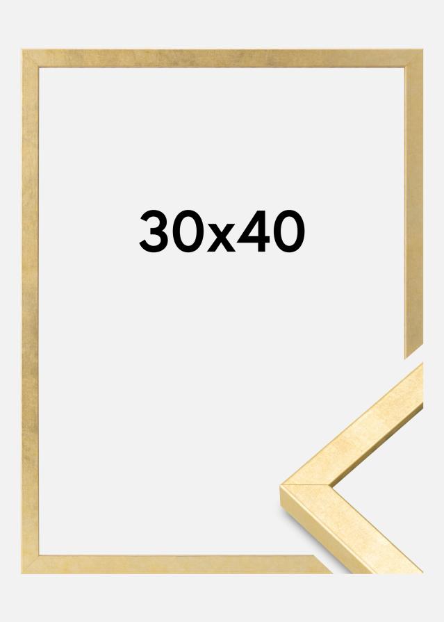 Kehys Ares Akryylilasi Kulta 30x40 cm