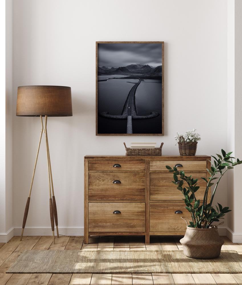 The Protected Land Juliste