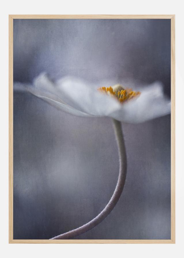 The Beauty Within Juliste