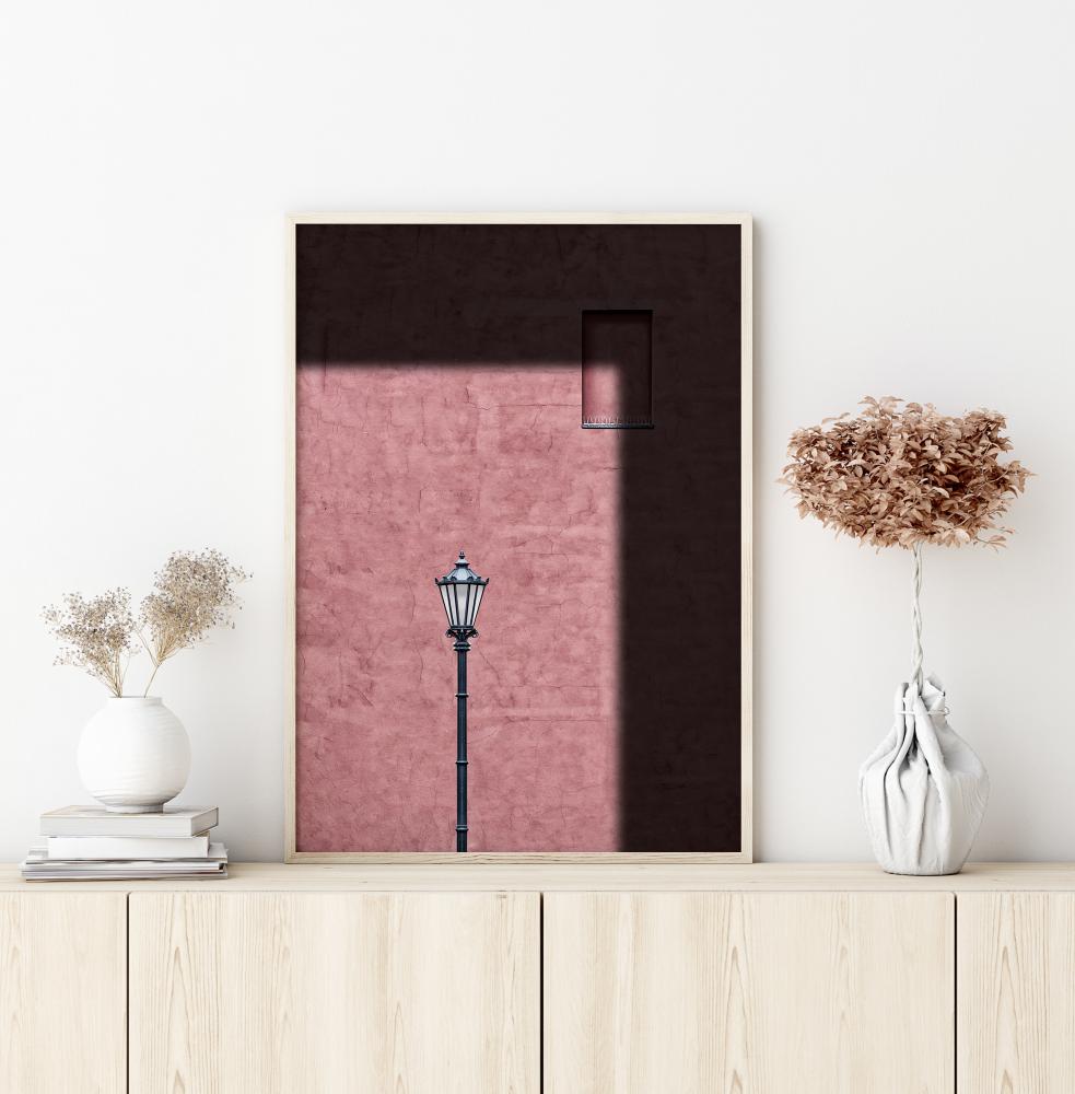 Pink Frame Juliste