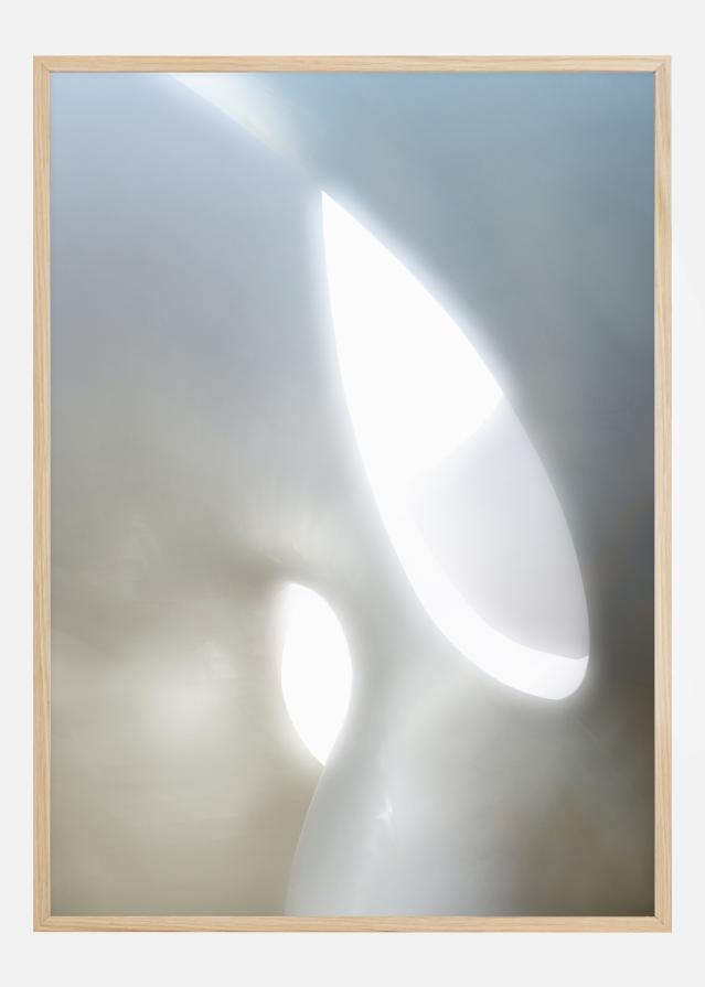 Organic Shapes Juliste