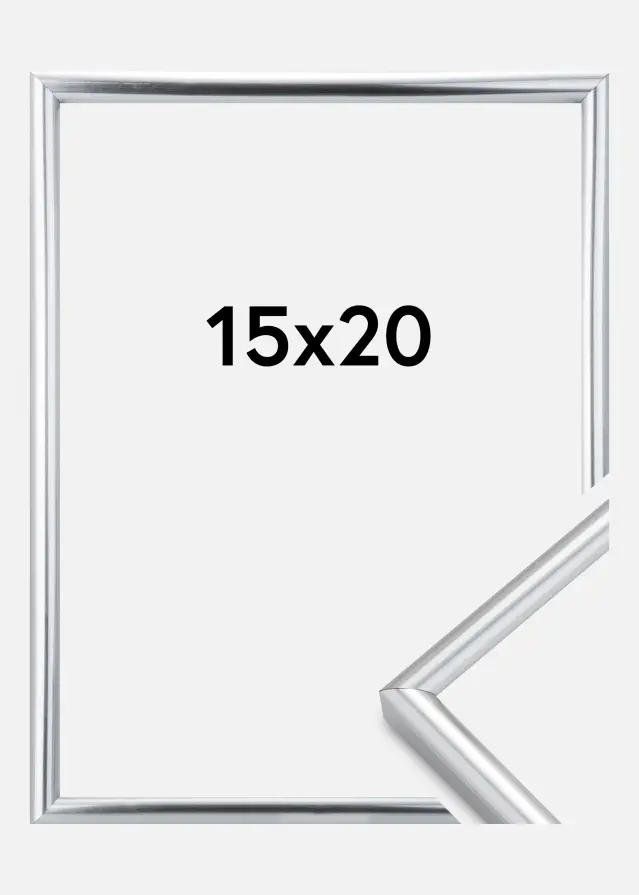 Kehys Galeria Hopeanvärinen 15x20 cm