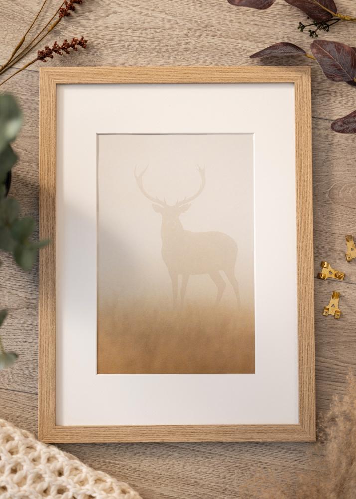 Kehys Deco Akryylilasi Tammi 21x29.7 cm (A4)