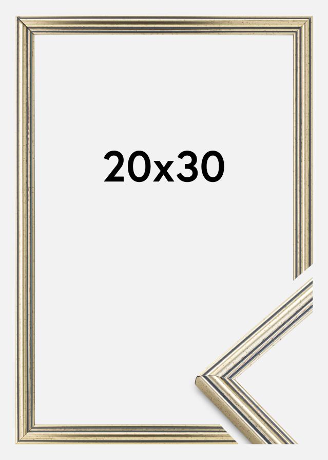 Kehys Classic Hopeanvärinen 20x30 cm