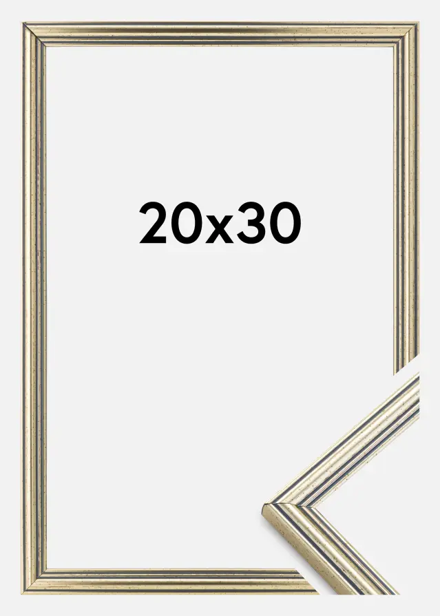 Kehys Classic Hopeanvärinen 20x30 cm