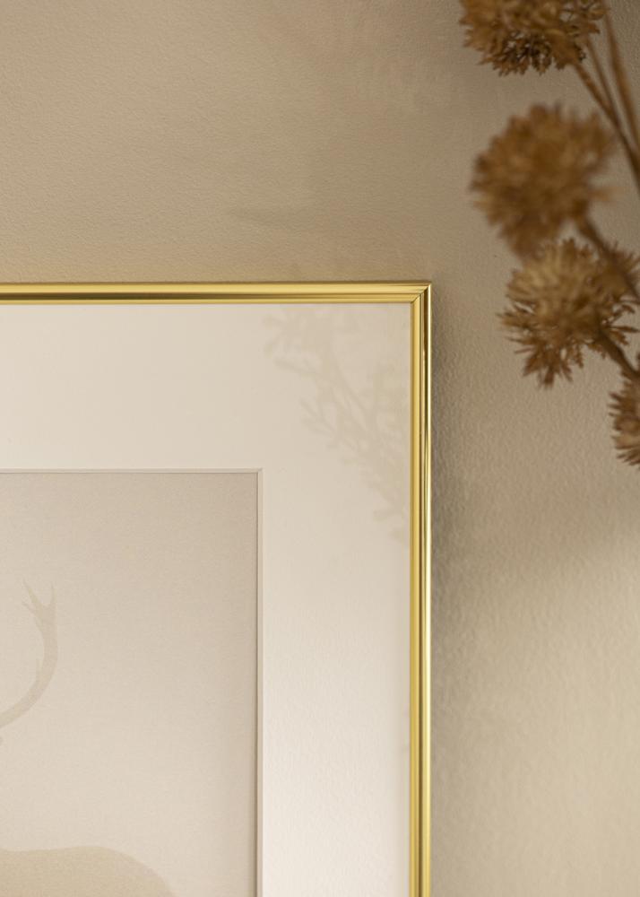 Kehys Can-Can Kullanvärinen 21x30 cm