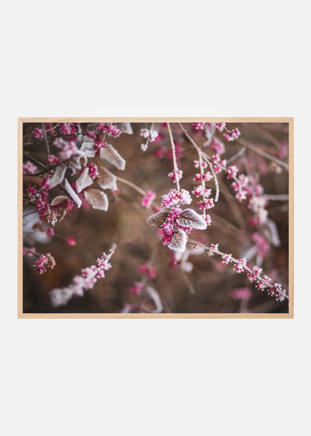 Kukka lähikuva Juliste