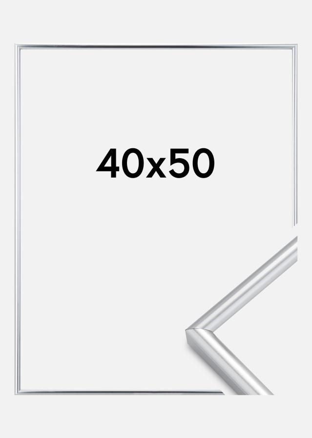 Kehys Galeria Hopeanvärinen 40x50 cm