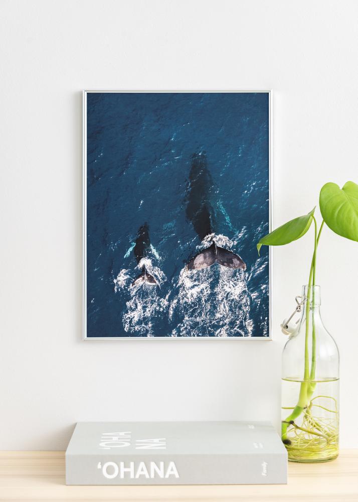 Kehys Can-Can Hopeanvärinen 40x60 cm