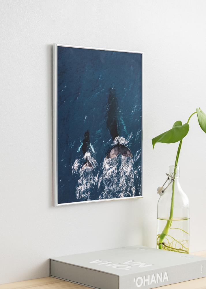 Kehys Can-Can Hopeanvärinen 40x60 cm