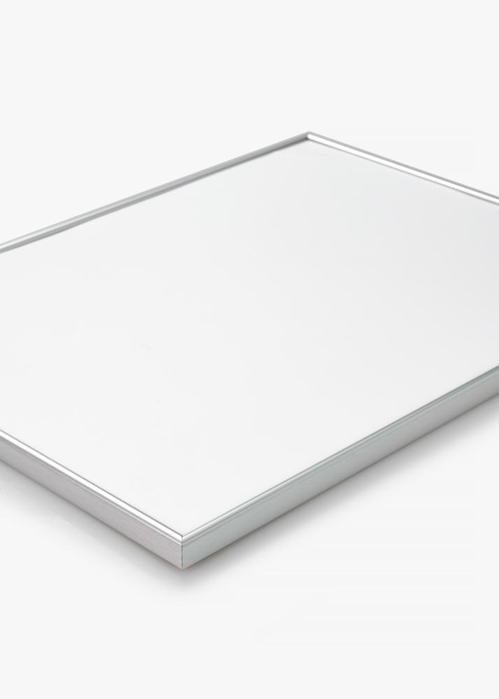 Kehys Can-Can Hopeanvärinen 40x60 cm