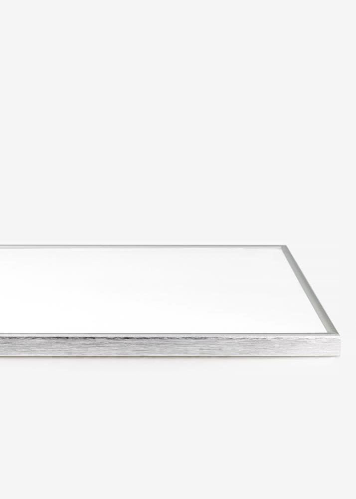 Kehys Can-Can Hopeanvärinen 40x60 cm