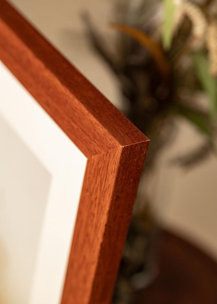 Kehys Juno Akryylilasi Kirsikka 60x70 cm