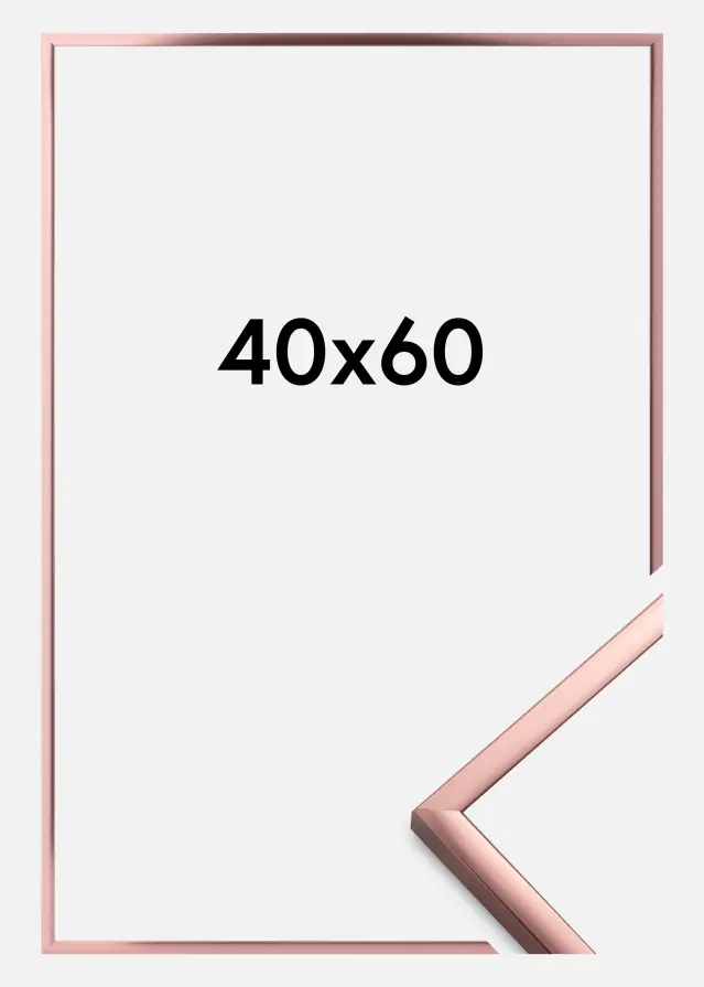 Kehys Poster Frame Aluminum Ruusukulta 40x60 cm