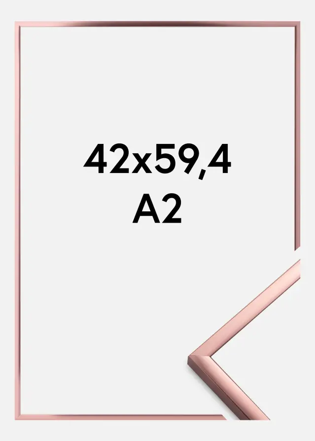 Kehys Poster Frame Aluminum Ruusukulta 42x59,4 cm (A2)