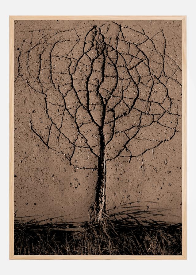 Asphalt Tree Juliste