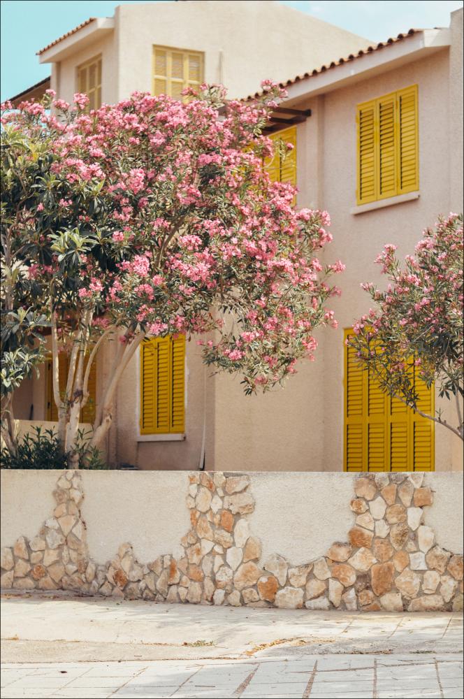 Bloom Village Juliste