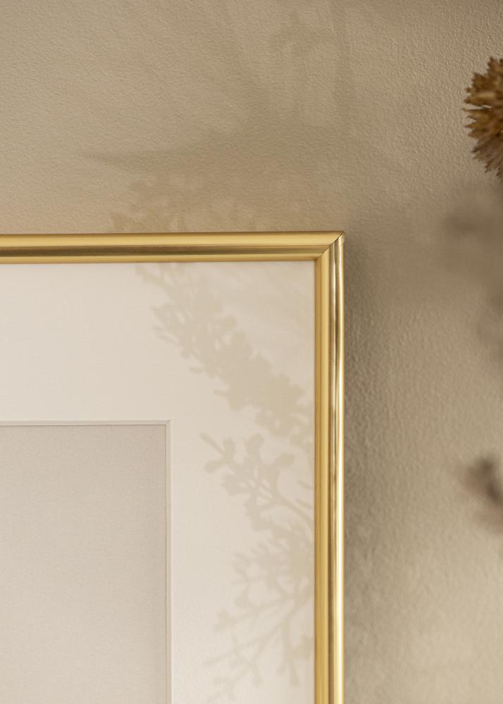 Kehys Galeria Kullanvärinen 20x28 cm