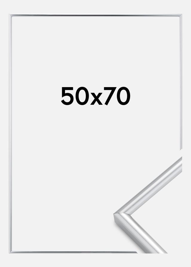 Kehys Galeria Hopeanvärinen 50x70 cm