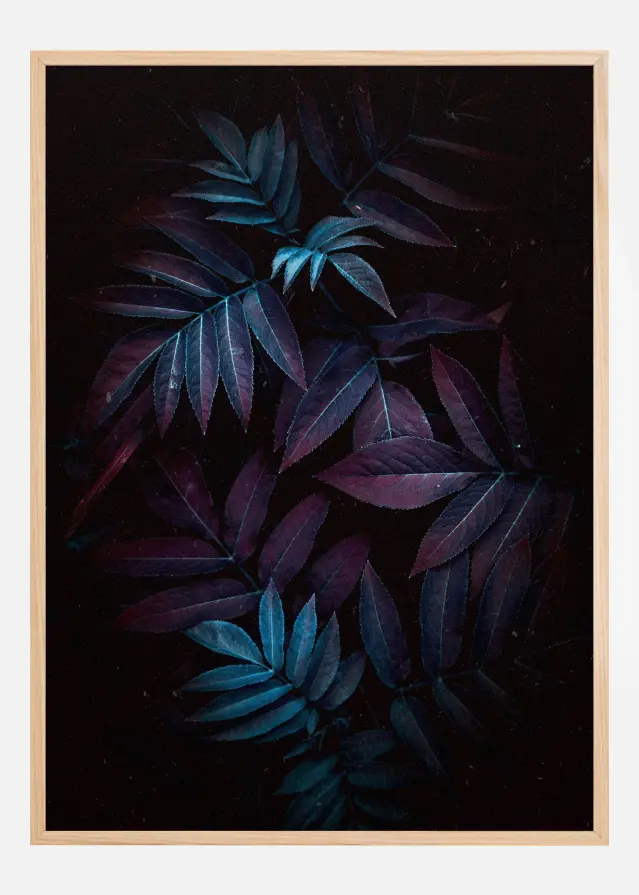 Autum Leaves Juliste