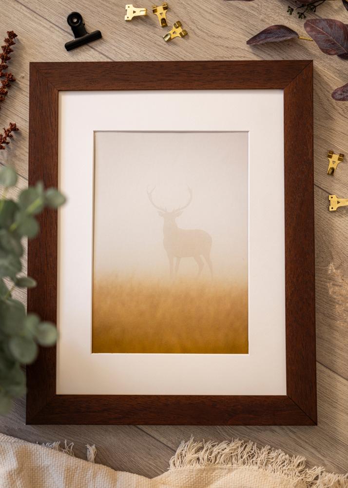 Kehys Juno Akryylilasi Tiikki 45x60 cm