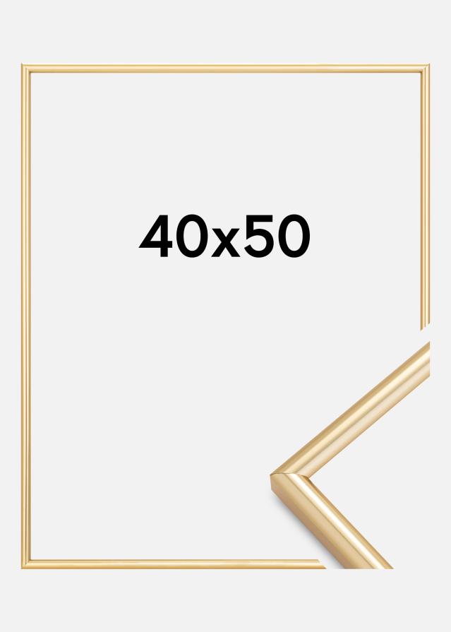 Kehys Galeria Kullanvärinen 40x50 cm