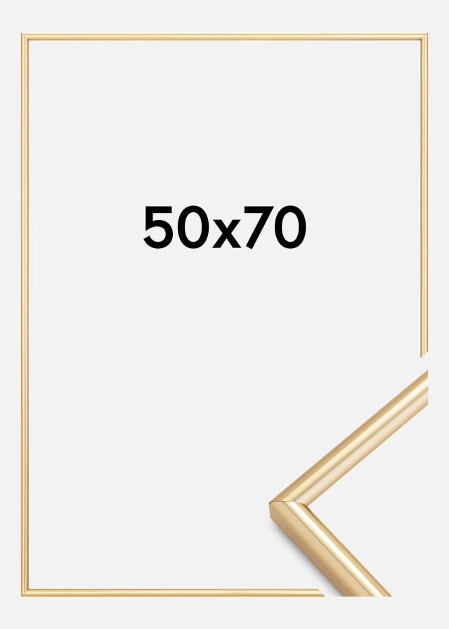 Kehys Galeria Kullanvärinen 50x70 cm