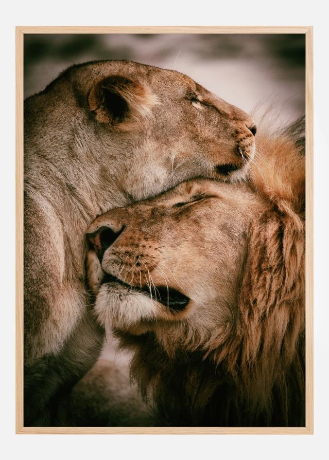 What Is Love Juliste