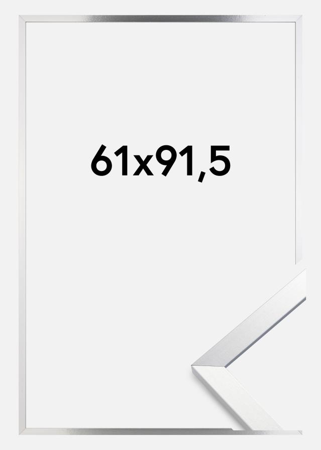Kehys Trendy Akryylilasi Hopea 61x91,5 cm