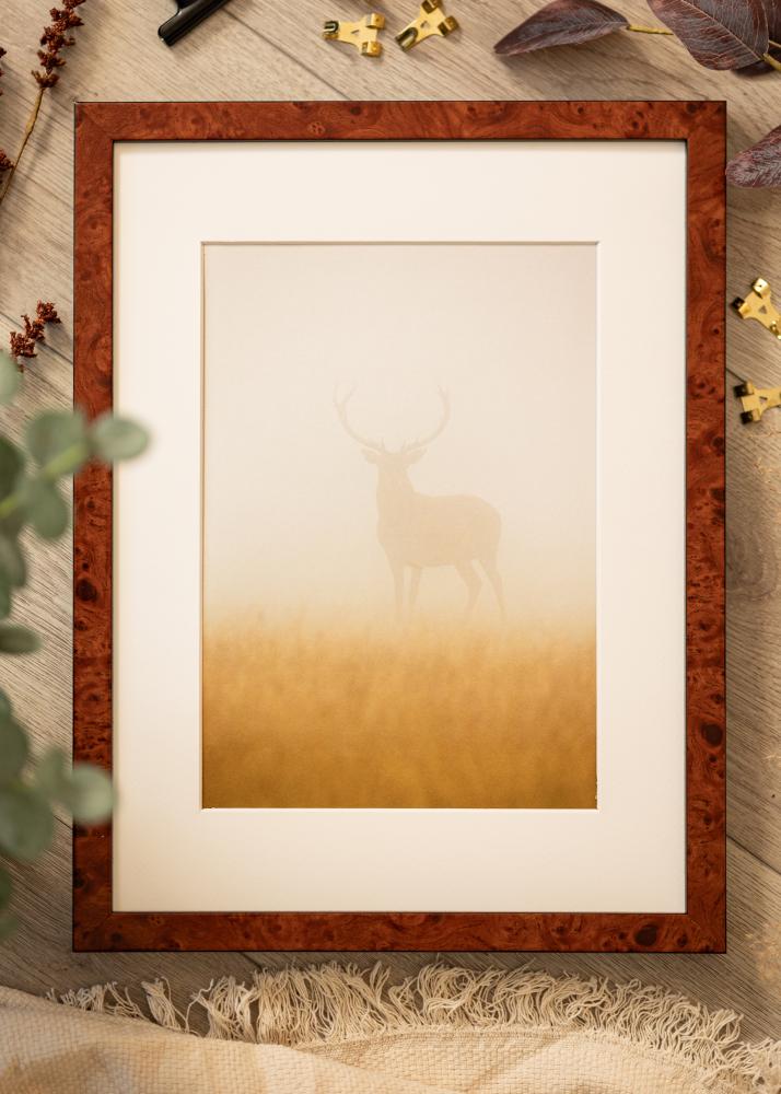 Kehys Hermes Akryylilasi Burr Walnut 70x100 cm