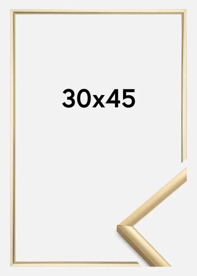 Kehys New Lifestyle Kullanvärinen 30x45 cm