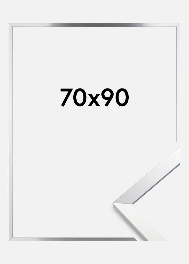 Kehys Trendy Akryylilasi Hopea 70x90 cm