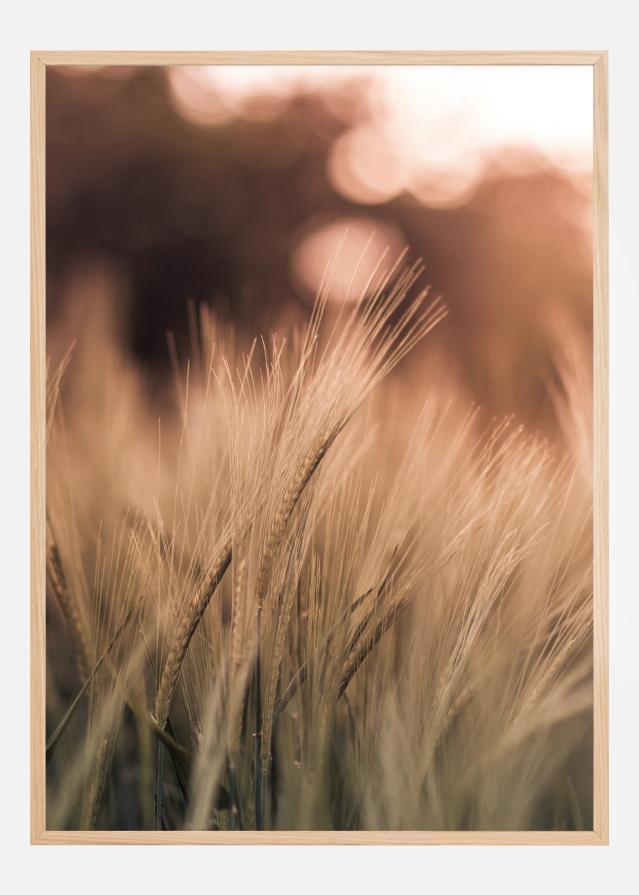 Wheat Fields I Juliste