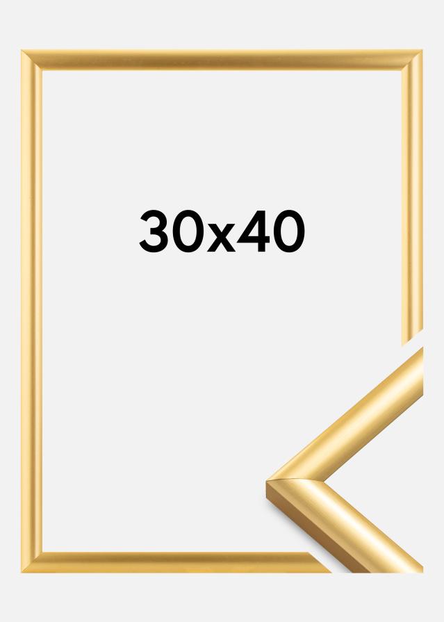 Kehys Trendstyle Kullanvärinen 30x40 cm